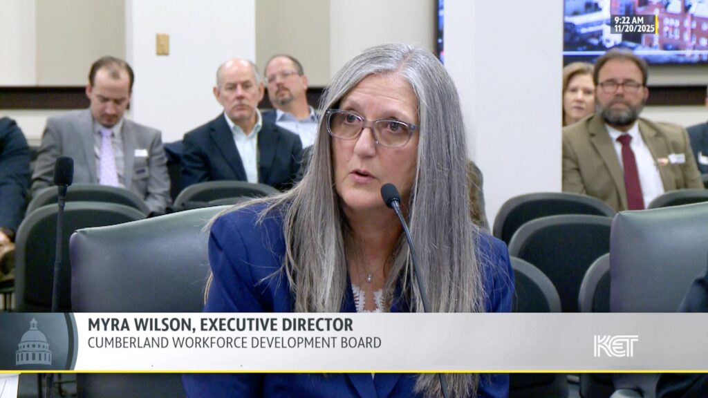 Myra Wilson testifying at a Legislative Committee meeting